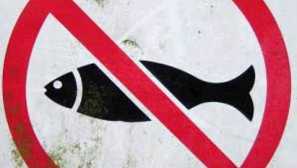 Měl bych vypnout čerpadlo a provzdušňování akvária v noci?